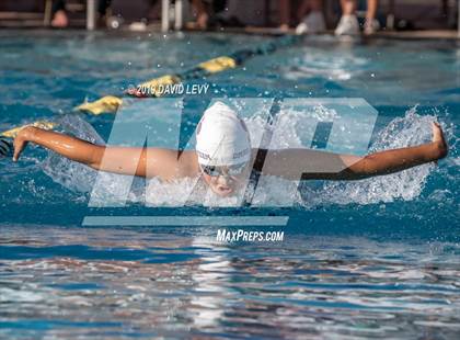 Thumbnail 3 in AIA D2 Swim Finals photogallery.
