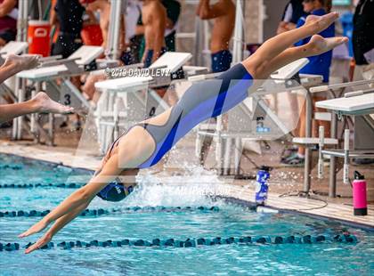 Thumbnail 3 in AIA D2 Swim Finals photogallery.
