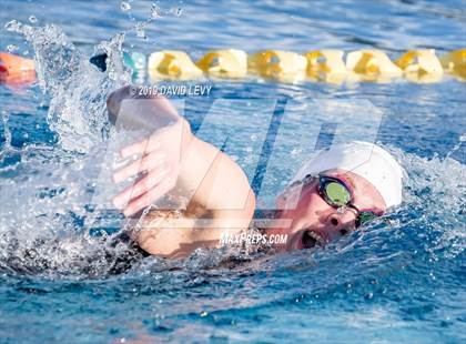 Thumbnail 1 in AIA D2 Swim Finals photogallery.