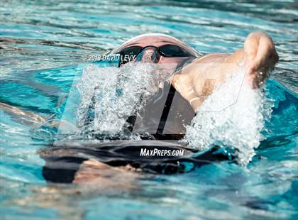 Thumbnail 3 in AIA D2 Swim Finals photogallery.