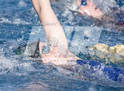 Thumbnail 3 in AIA D2 Swim Finals photogallery.