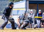 Photo from the gallery "Vista Ridge @ Palmer Ridge"