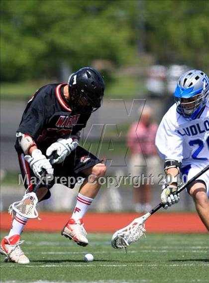 Thumbnail 2 in Warde @ Ludlowe photogallery.
