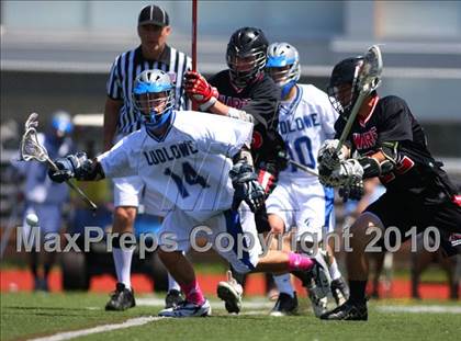 Thumbnail 3 in Warde @ Ludlowe photogallery.