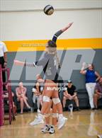Photo from the gallery "Williams Field vs. Cactus Shadows"