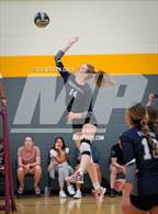 Photo from the gallery "Williams Field vs. Cactus Shadows"
