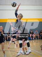 Photo from the gallery "Williams Field vs. Cactus Shadows"