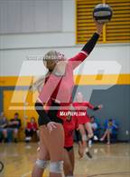 Photo from the gallery "Williams Field vs. Cactus Shadows"