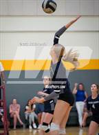Photo from the gallery "Williams Field vs. Cactus Shadows"