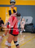 Photo from the gallery "Williams Field vs. Cactus Shadows"