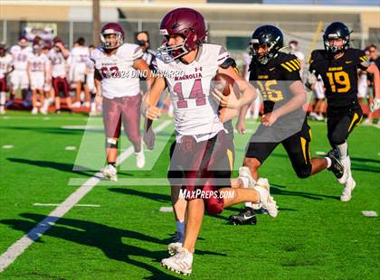 Thumbnail 1 in Magnolia @ Klein Oak (Gold Team) photogallery.