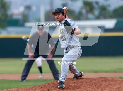 Thumbnail 3 in Royal vs Oak Park photogallery.