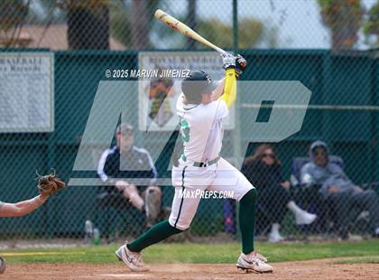 Thumbnail 1 in Royal vs Oak Park photogallery.