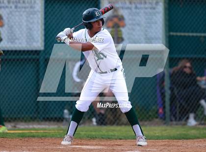 Thumbnail 3 in Royal vs Oak Park photogallery.