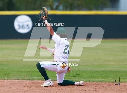 Thumbnail 1 in Royal vs Oak Park photogallery.