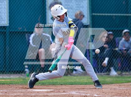Thumbnail 1 in Royal vs Oak Park photogallery.