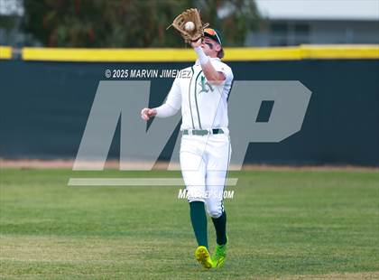 Thumbnail 1 in Royal vs Oak Park photogallery.