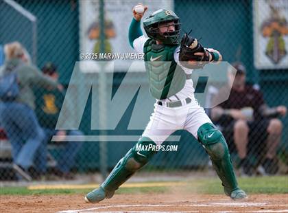 Thumbnail 1 in Royal vs Oak Park photogallery.