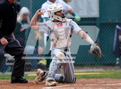 Thumbnail 1 in Royal vs Oak Park photogallery.