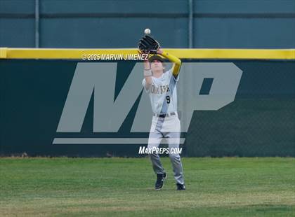 Thumbnail 1 in Royal vs Oak Park photogallery.