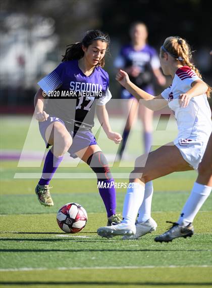 Thumbnail 1 in Sequoia vs. Sacred Heart Prep photogallery.