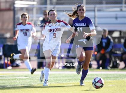 Thumbnail 1 in Sequoia vs. Sacred Heart Prep photogallery.