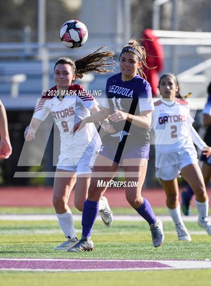 Thumbnail 3 in Sequoia vs. Sacred Heart Prep photogallery.