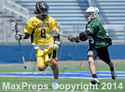 Thumbnail 1 in Fayetteville-Manlius vs. Massapequa (NYSPHSAA Class A Final) photogallery.