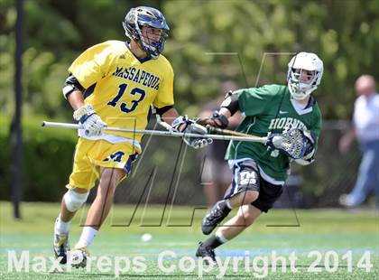 Thumbnail 2 in Fayetteville-Manlius vs. Massapequa (NYSPHSAA Class A Final) photogallery.