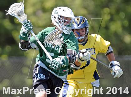 Thumbnail 1 in Fayetteville-Manlius vs. Massapequa (NYSPHSAA Class A Final) photogallery.