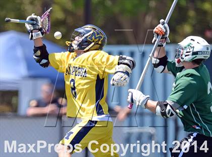 Thumbnail 2 in Fayetteville-Manlius vs. Massapequa (NYSPHSAA Class A Final) photogallery.