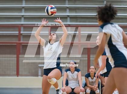 Thumbnail 1 in Marshall vs O'Connor photogallery.
