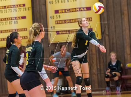 Thumbnail 1 in Pleasanton vs Brackett (Arabian Roundup) photogallery.
