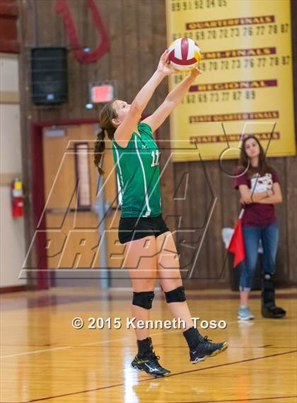 Thumbnail 3 in Pleasanton vs Brackett (Arabian Roundup) photogallery.