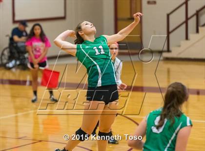 Thumbnail 3 in Pleasanton vs Brackett (Arabian Roundup) photogallery.