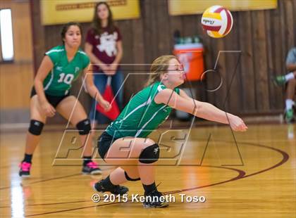 Thumbnail 1 in Pleasanton vs Brackett (Arabian Roundup) photogallery.