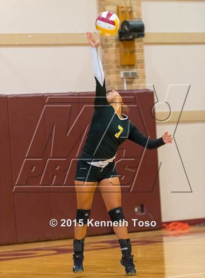 Thumbnail 3 in Pleasanton vs Brackett (Arabian Roundup) photogallery.