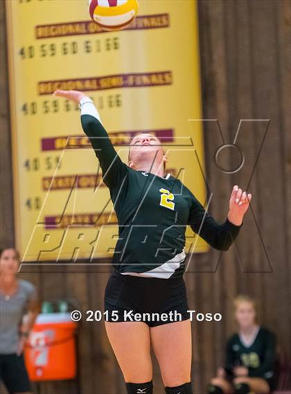 Thumbnail 2 in Pleasanton vs Brackett (Arabian Roundup) photogallery.
