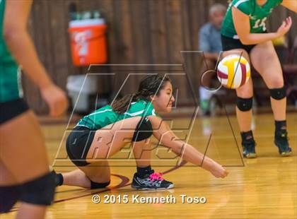 Thumbnail 2 in Pleasanton vs Brackett (Arabian Roundup) photogallery.