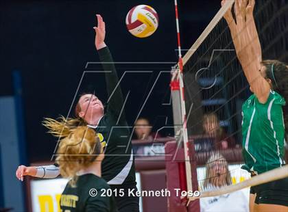 Thumbnail 2 in Pleasanton vs Brackett (Arabian Roundup) photogallery.