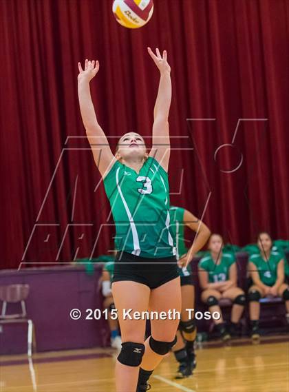 Thumbnail 1 in Pleasanton vs Brackett (Arabian Roundup) photogallery.