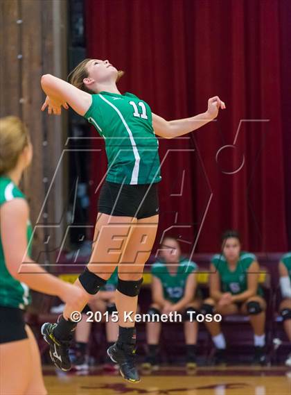 Thumbnail 2 in Pleasanton vs Brackett (Arabian Roundup) photogallery.