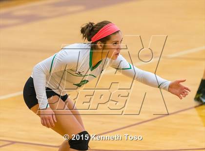 Thumbnail 2 in Pleasanton vs Brackett (Arabian Roundup) photogallery.