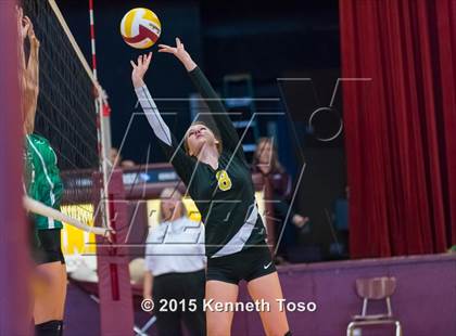 Thumbnail 2 in Pleasanton vs Brackett (Arabian Roundup) photogallery.