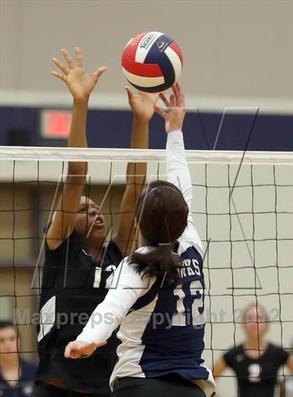 Thumbnail 2 in Cedar Ridge @ Hendrickson photogallery.