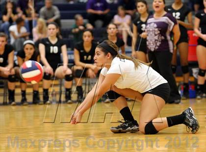 Thumbnail 2 in Cedar Ridge @ Hendrickson photogallery.