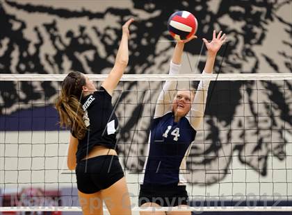 Thumbnail 1 in Cedar Ridge @ Hendrickson photogallery.