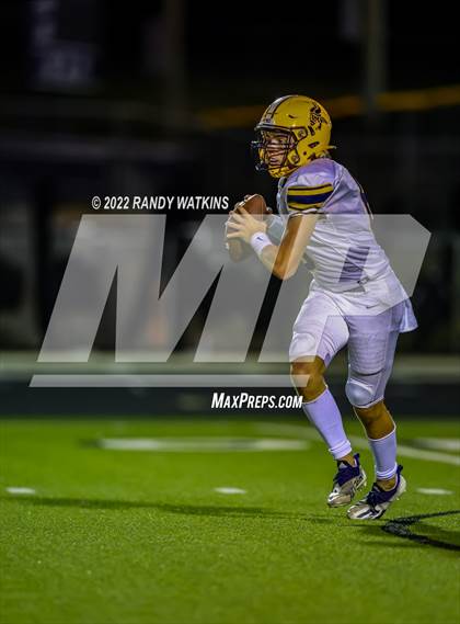 Thumbnail 2 in Timber Creek @ Lamar photogallery.