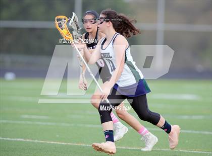 Thumbnail 3 in Bowie @ McNeil photogallery.