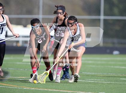 Thumbnail 1 in Bowie @ McNeil photogallery.